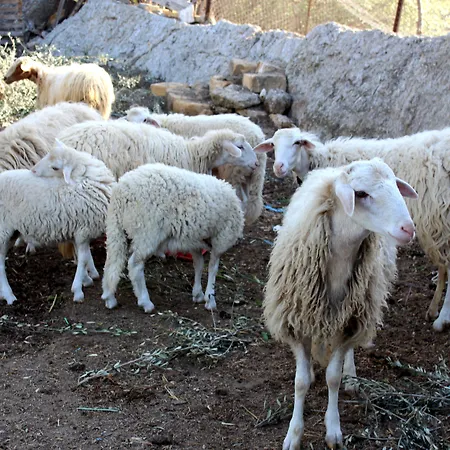 La Casa Di Bacco * Agrigent