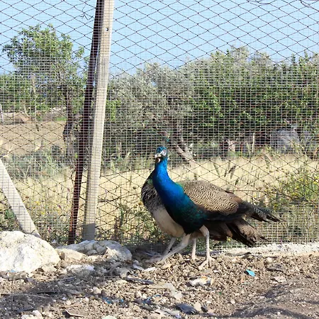 La Casa Di Bacco Bauernhof *