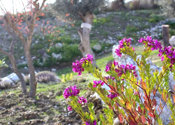 La Casa Di Bacco Alloggio per agriturismo *