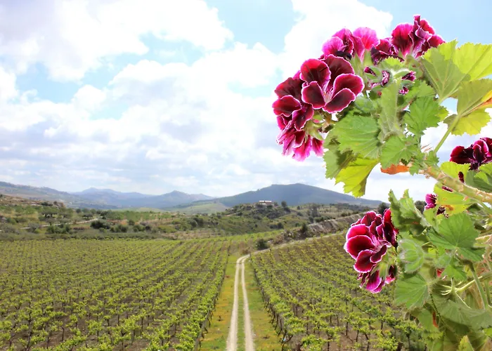 La Casa Di Bacco Alloggio per agriturismo