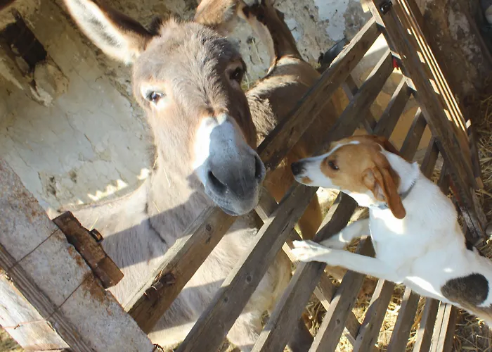 Alloggio per agriturismo La Casa Di Bacco *