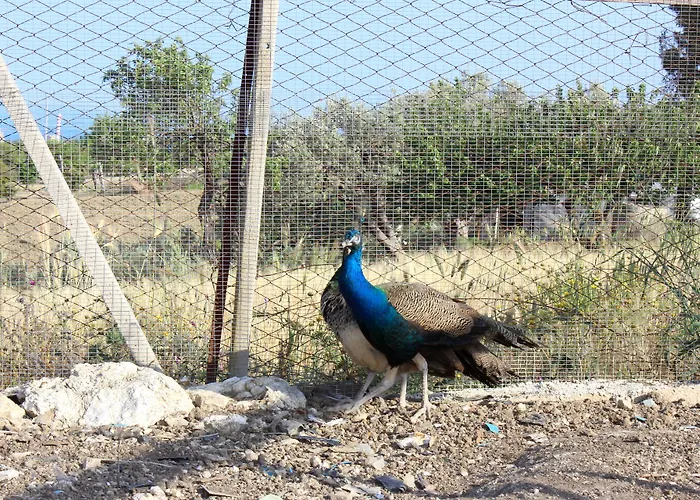 La Casa Di Bacco Alloggio per agriturismo *