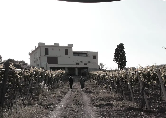 La Casa Di Bacco Alloggio per agriturismo