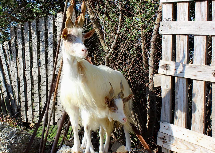 La Casa Di Bacco Alloggio per agriturismo