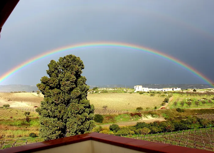 La Casa Di Bacco Feriegård Agrigento