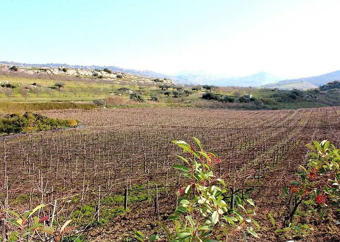 La Casa Di Bacco Alloggio per agriturismo