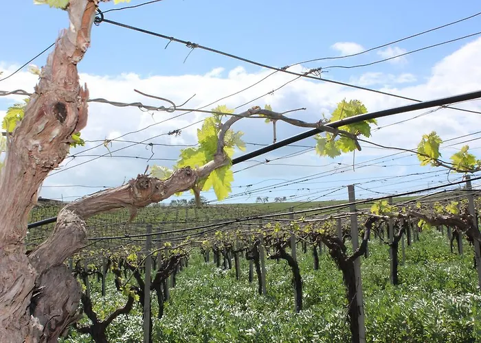 Alloggio per agriturismo La Casa Di Bacco Agrigento