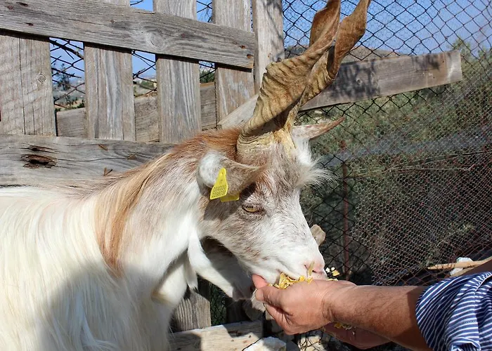 Alloggio per agriturismo La Casa Di Bacco *