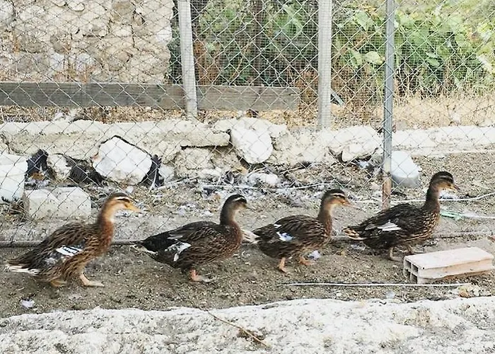 Alloggio per agriturismo La Casa Di Bacco