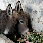 La Casa Di Bacco *