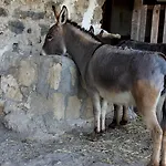 Farma La Casa Di Bacco *