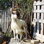 La Casa Di Bacco Farma