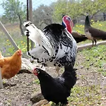 La Casa Di Bacco 农家乐 阿格里真托