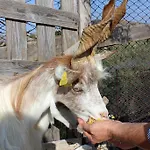 农家乐 La Casa Di Bacco *