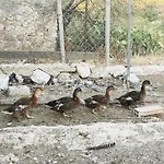 Farma La Casa Di Bacco