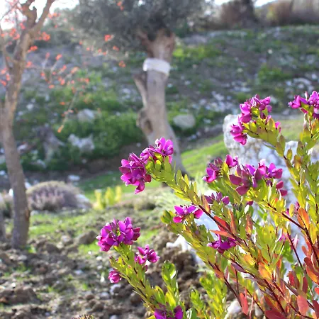 La Casa Di Bacco Farm stay *