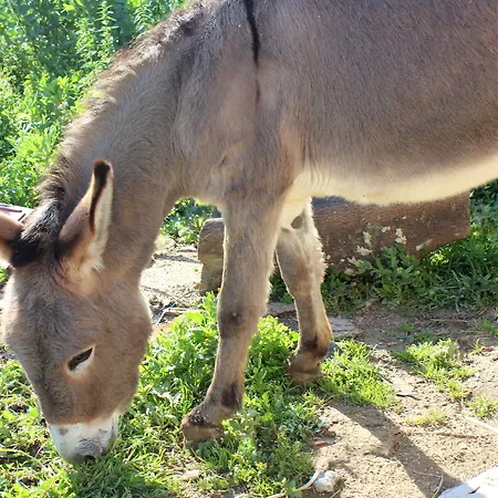 La Casa Di Bacco * Agrigento
