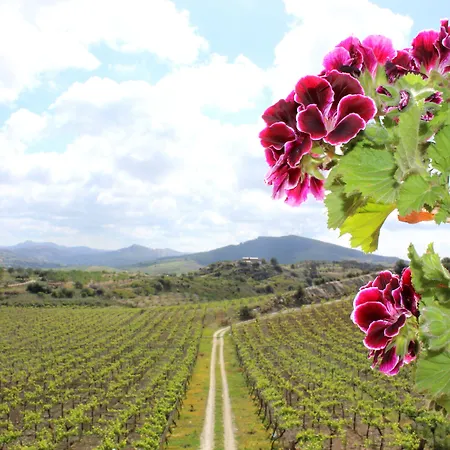 La Casa Di Bacco Farm stay