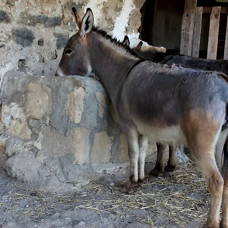 Séjour à la ferme La Casa Di Bacco *