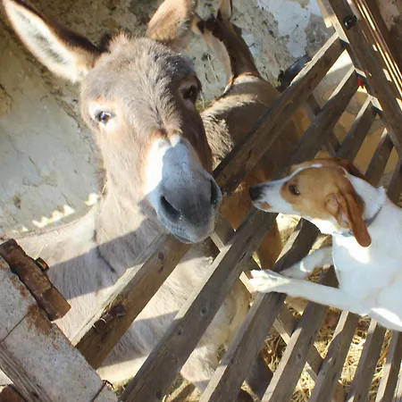 Farm stay La Casa Di Bacco *