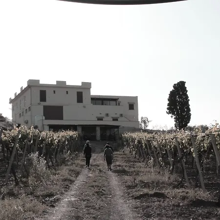 La Casa Di Bacco Lantgård