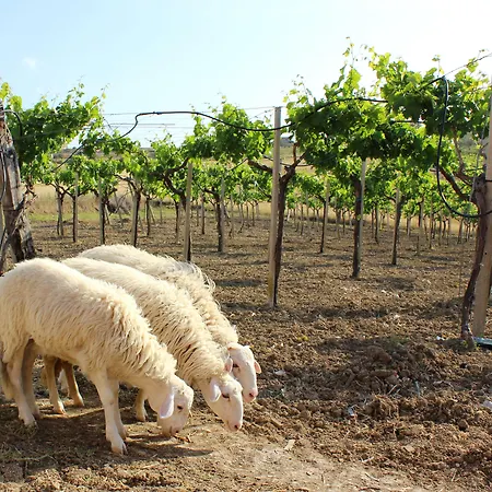 La Casa Di Bacco * Agrigente