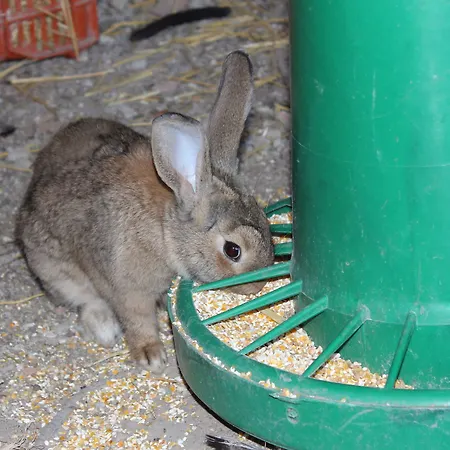 La Casa Di Bacco Farm stay