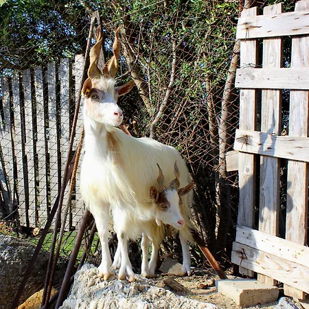 La Casa Di Bacco Séjour à la ferme