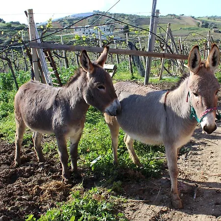 La Casa Di Bacco Séjour à la ferme *