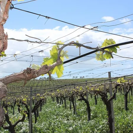 Farm stay La Casa Di Bacco Agrigento