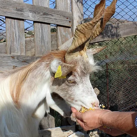 Farm stay La Casa Di Bacco *