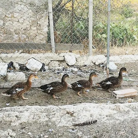 Séjour à la ferme La Casa Di Bacco