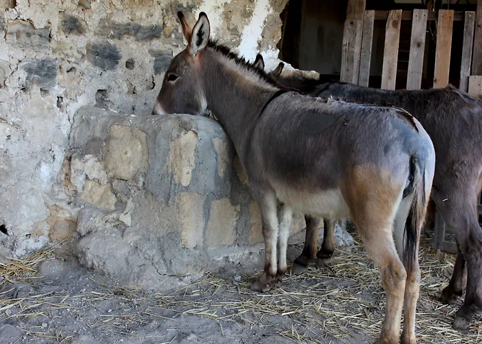 Séjour à la ferme La Casa Di Bacco *