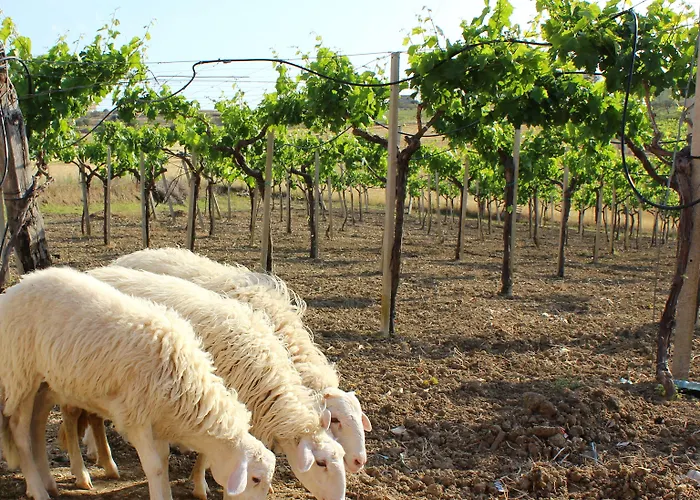 La Casa Di Bacco * Agrigente