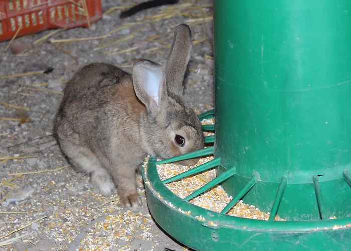 La Casa Di Bacco Séjour à la ferme