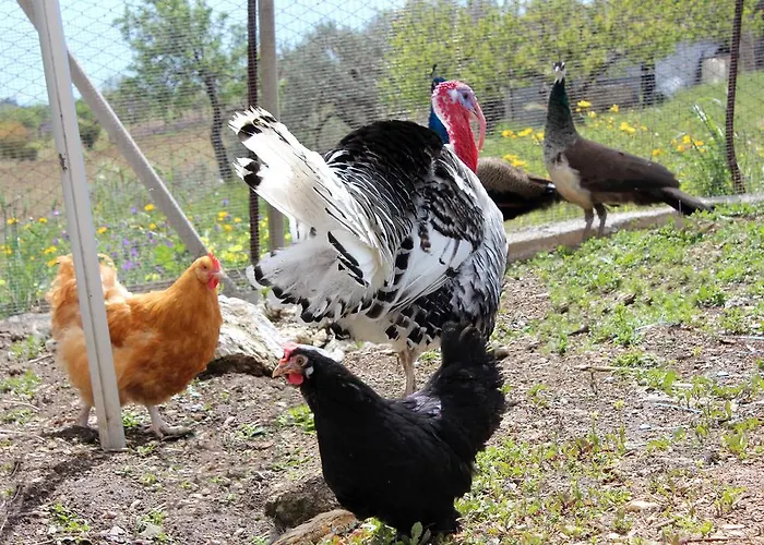 La Casa Di Bacco Séjour à la ferme Agrigente