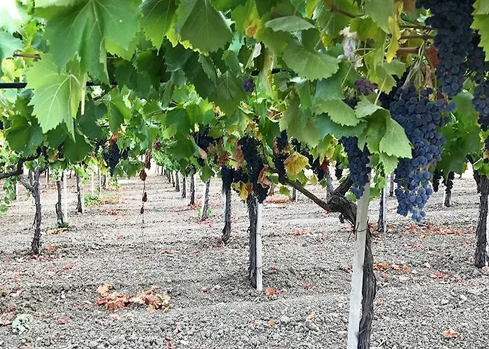 La Casa Di Bacco * Agrigente